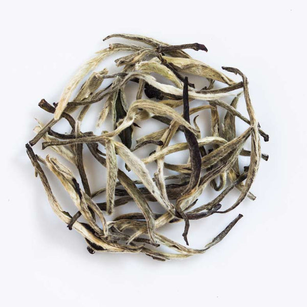 Silver Tips - Gurkha Tea
